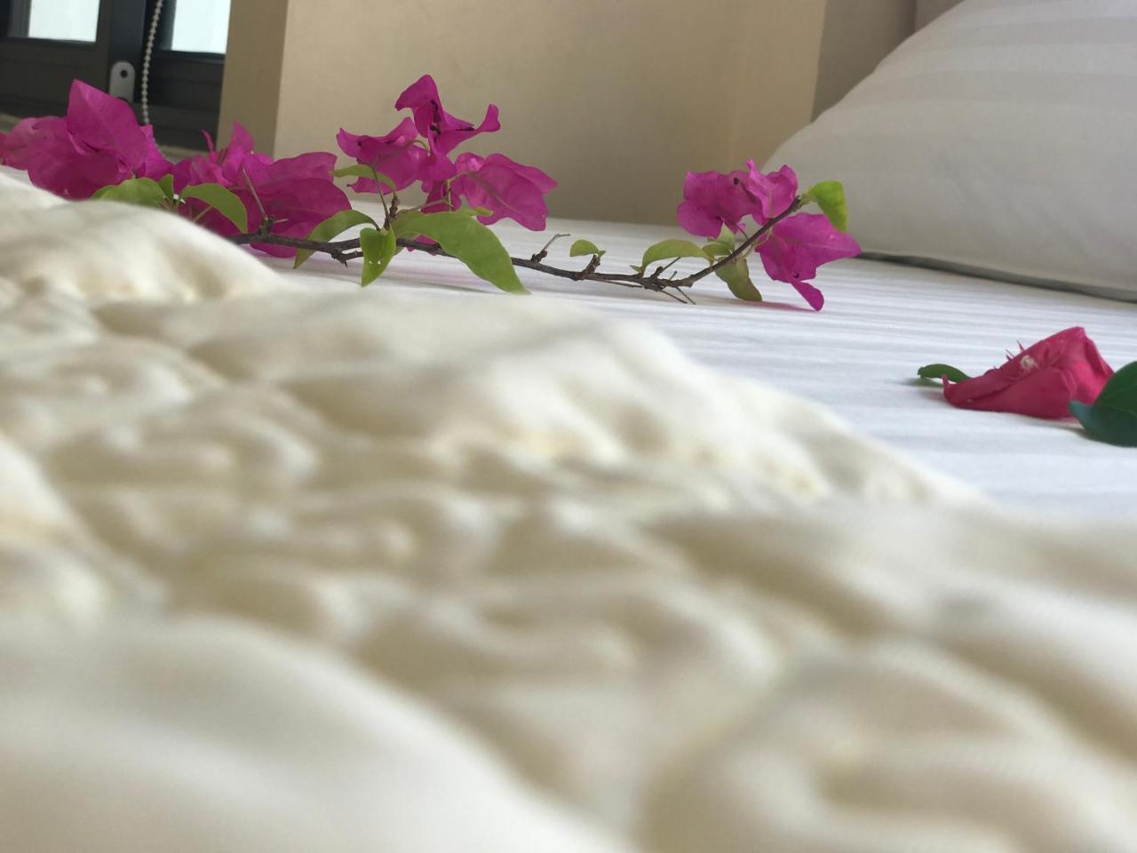 Ha Vy Hotel Cat Ba Island Extérieur photo